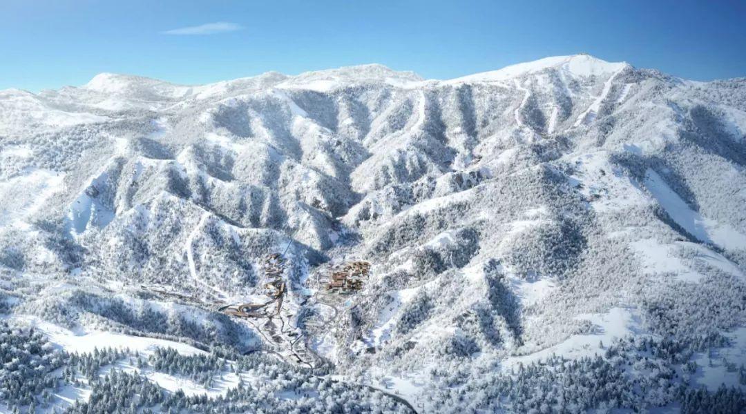 大山羔羊逃生
